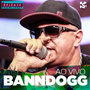 Banndogg no Release Showlivre