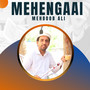 Mehengaai