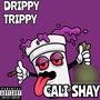 Drippy Trippy (Explicit)