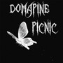 Picnic (Explicit)