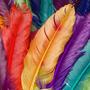 Rainbows