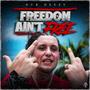 Freedom Aint Free (Explicit)