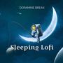 Sleeping Lofi Compilation (Music for sleeping better)