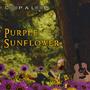 Purple Sunflower