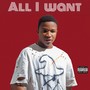 All I Want (Explicit)