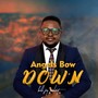 Angels Bow Down (Remix)