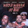 Why U Wanna Do That (Explicit)