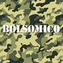 Bolsomico