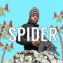 ISSA SPIDER EP (Explicit)