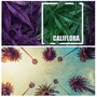 Califlora