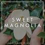 Sweet Magnolia