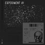 The Experiment (Explicit)