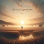 THE SAX EXPERIENCE, Vol. 1