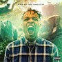 King Of The Jungle - EP (Explicit)