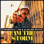 I Am the Storm (Explicit)