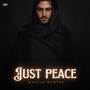 Just Peace