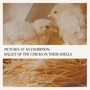 Mussorgsky: Pictures at an Exhibition- Ballet of the Chicks in their Shells