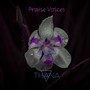 Praise Voices