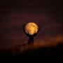 BUCK MOON (feat. AudioMaldito)