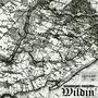 Wildin' (feat. Tony Blanko) [Explicit]