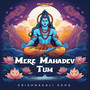 Mere Mahadev Tum