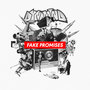 Fake Promises