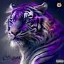 Bang4Bro Purple Tigers Roaming LongLive The Block (Explicit)