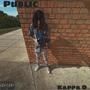 Public (Explicit)