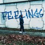 FEELINGS (Explicit)