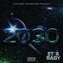 2030 (Explicit)