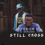 Still Cross (feat. DeBrown)