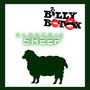 Electric Sheep (Explicit)