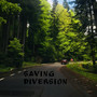 Saving Diversion