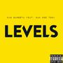 Levels (Explicit)