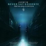 Never Say Goodbye (feat. Misha Cordon)