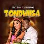 Tondwiisa (feat. Spice Diana)