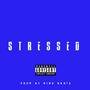 Stressed (feat CrossEyes) [Explicit]