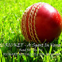 Cricket - A Sport In Verse