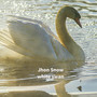 white swan
