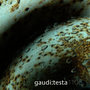 gaudi:testa 1105 - CONTINVVM