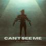 Can't See Me