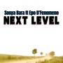 Next Level