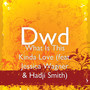 What Is This Kinda Love (feat. Jessica Wagner & Hadji Smith)