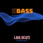 Bass 2