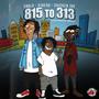 815 to 313 (Explicit)