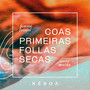 Coas primeiras follas secas