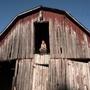 Out In The Barn