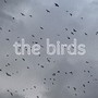 the birds