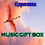 Music Gift Box