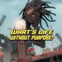 What's life without purpose?